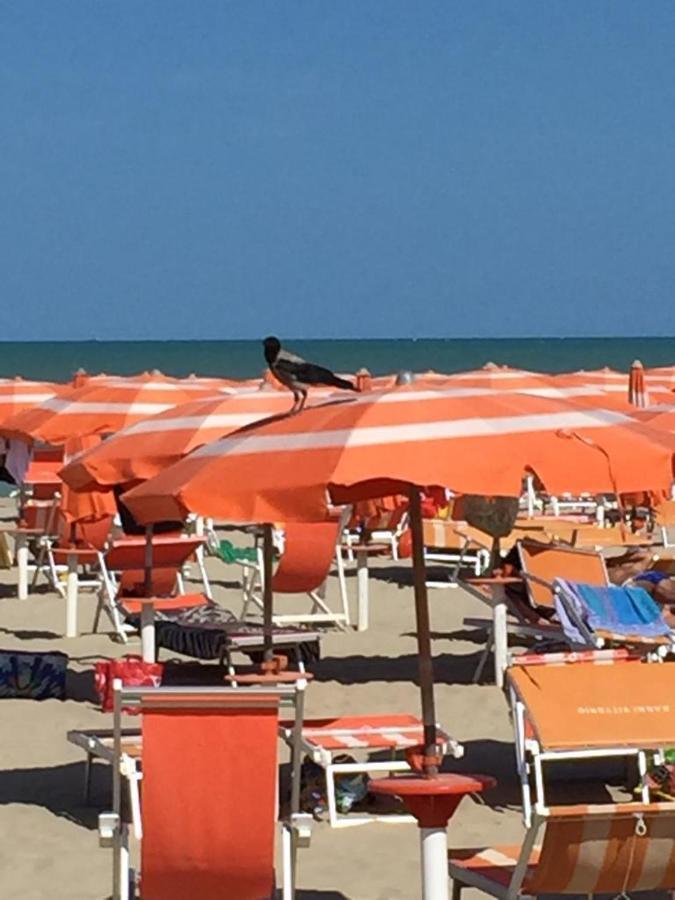 Verde Mare "Appartamenti Per Vacanze" Tortoreto Dış mekan fotoğraf